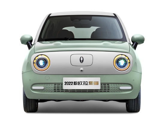 Батарея LFP Ev черного кота Великой Китайской Стены ORA мотора EV Великой Китайской Стены 301-405KM