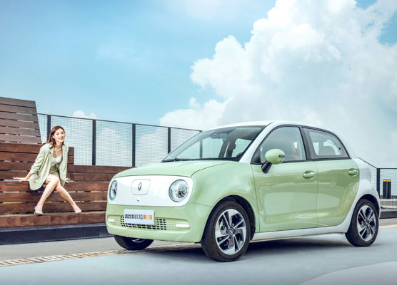 Батарея LFP Ev черного кота Великой Китайской Стены ORA мотора EV Великой Китайской Стены 301-405KM