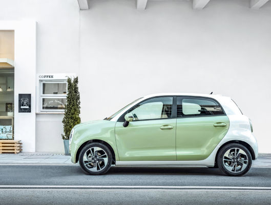 Батарея LFP Ev черного кота Великой Китайской Стены ORA мотора EV Великой Китайской Стены 301-405KM