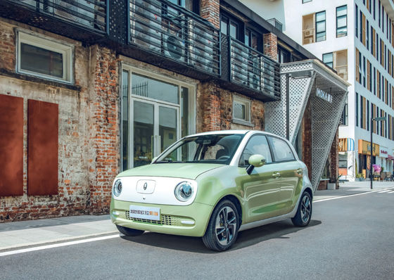 Батарея LFP Ev черного кота Великой Китайской Стены ORA мотора EV Великой Китайской Стены 301-405KM