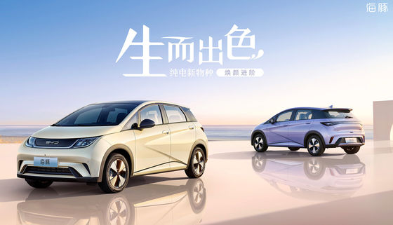 Чистый электрический мини дельфин Ev 301-405KM Byd 5 дверей 5 мест